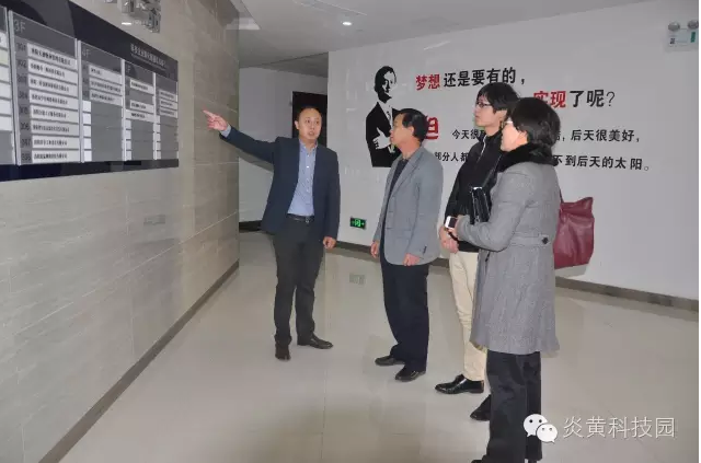 华3.png