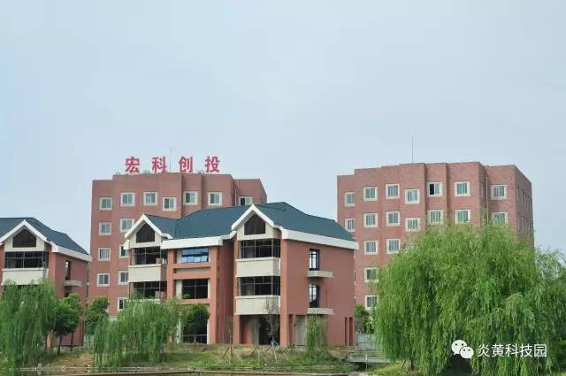 640_003.jpg